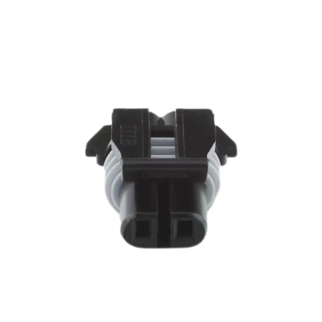 Delphi 2W 150 series Female Black ASHIGARU MOTORSPORTS