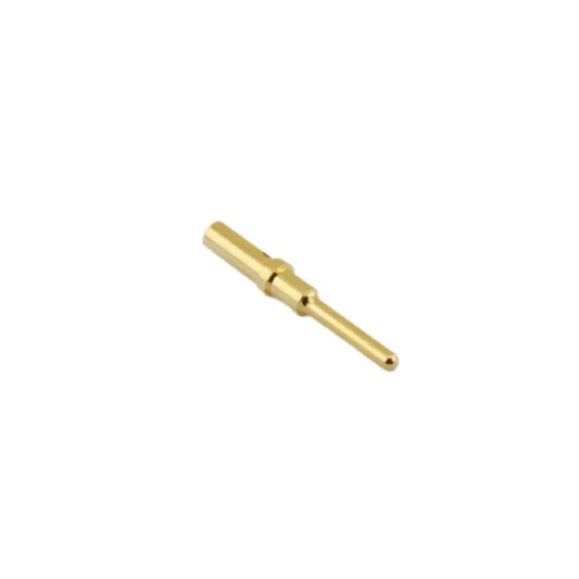 DT Gold Pin Size 16 ASHIGARU MOTORSPORTS