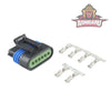 Delphi 6W 150 Series Connector Black ASHIGARU MOTORSPORTS