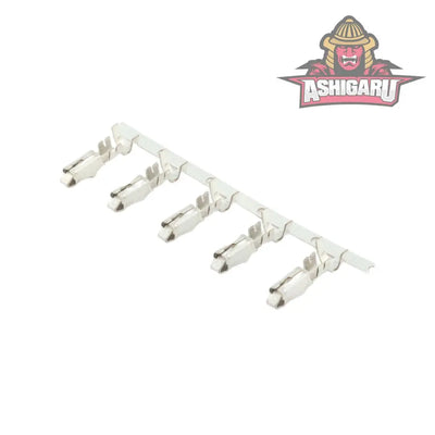 Delphi 5W 30Amp Connector Kit ASHIGARU MOTORSPORTS